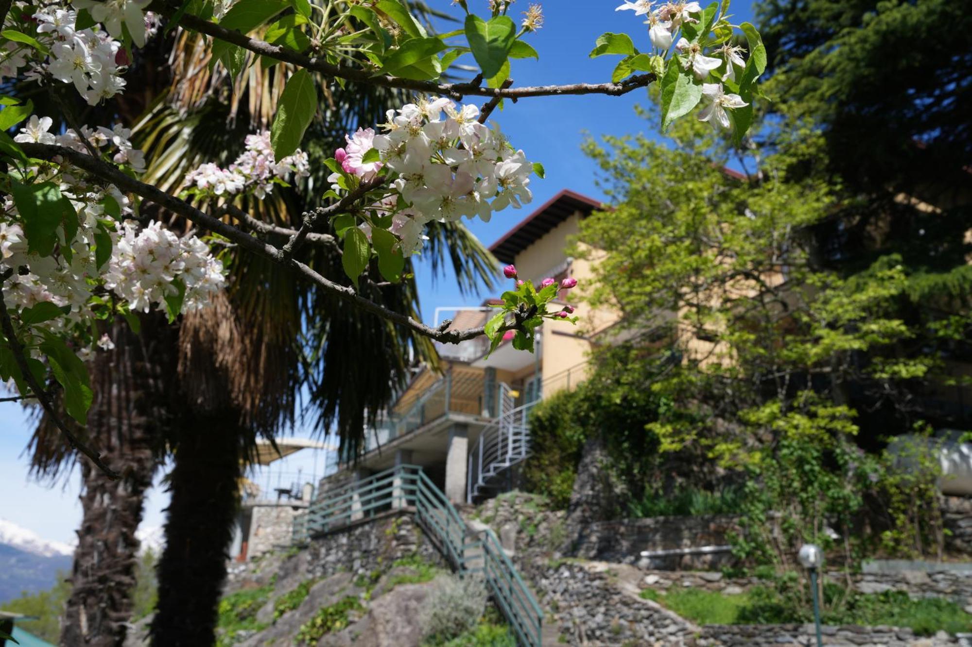 Welcomely - Casa Porta Di Cielo Apartment แดร์วิโอ ภายนอก รูปภาพ